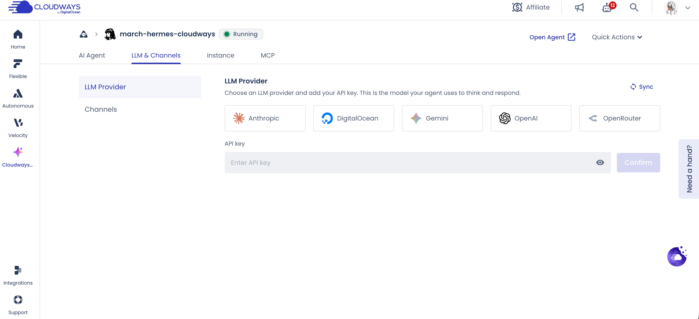 Cloudways Managed AI Agents 的 LLM Provider 後台，列出 Anthropic、DigitalOcean、Gemini、OpenAI 與 OpenRouter