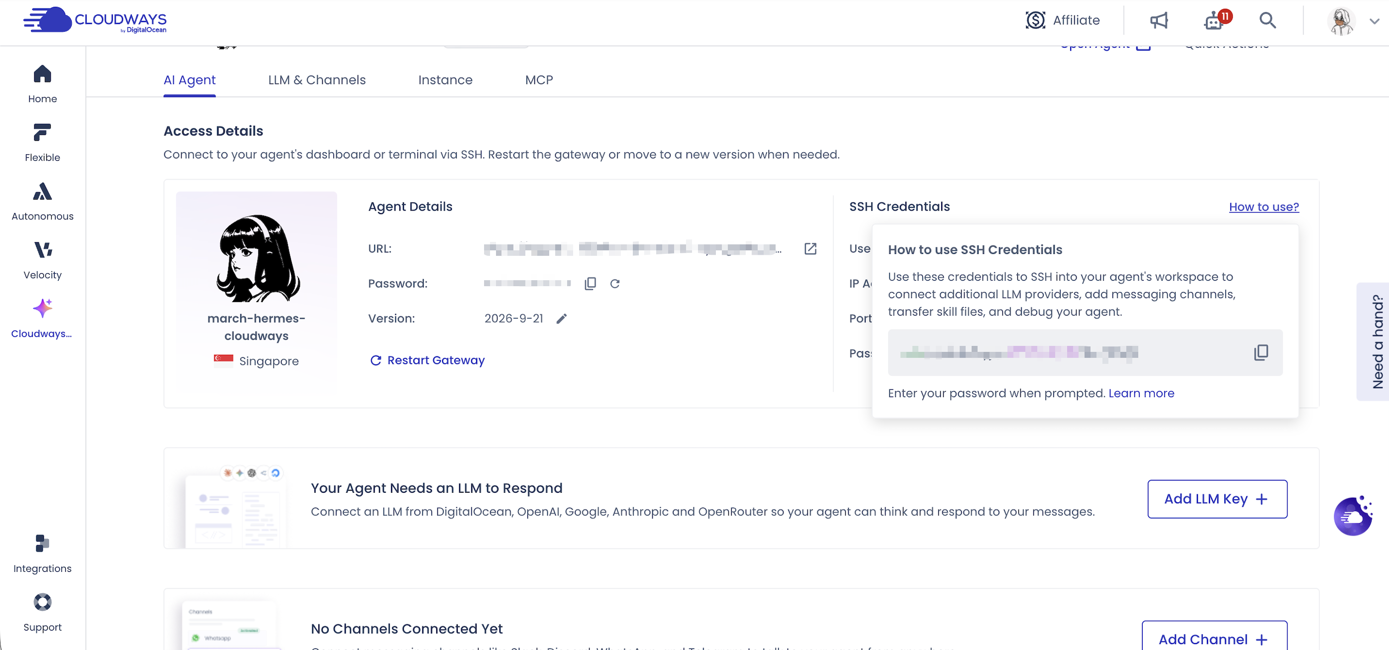 Cloudways Agent Details 與已遮蔽憑證值的 SSH Credentials